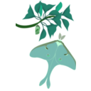 download Papillon Lune clipart image with 90 hue color