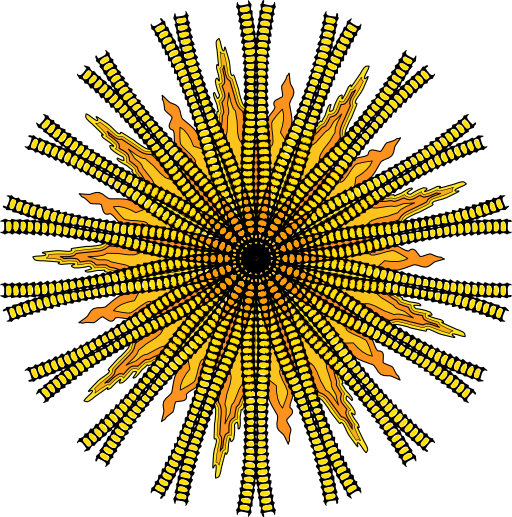 The Sun Variationen Muster 68