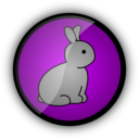 download Little Rabbit clipart image with 315 hue color