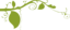 Ornamental Plant