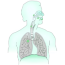 download Cancer Caused By Smoking I clipart image with 135 hue color