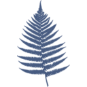 download Fern Leaf clipart image with 90 hue color