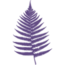 download Fern Leaf clipart image with 135 hue color