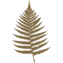 download Fern Leaf clipart image with 270 hue color