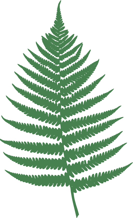 Fern Leaf