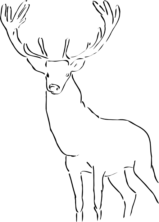 Stag