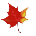 download Fall Leaf clipart image with 0 hue color