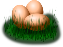 Egg In Grass