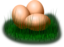 Egg In Grass