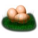 Egg In Grass