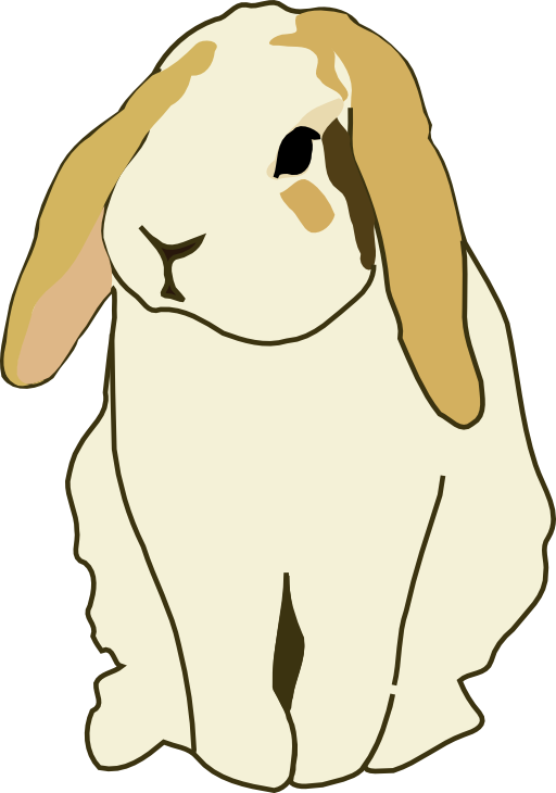 Lop Eared Rabbit