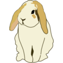 Lop Eared Rabbit