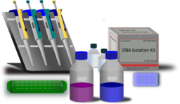 Molecular Biology Work Station