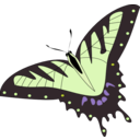 download Butterfly Papillon clipart image with 45 hue color
