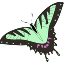 download Butterfly Papillon clipart image with 90 hue color