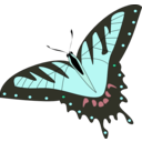 download Butterfly Papillon clipart image with 135 hue color