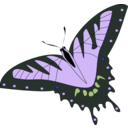 download Butterfly Papillon clipart image with 225 hue color