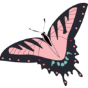 download Butterfly Papillon clipart image with 315 hue color