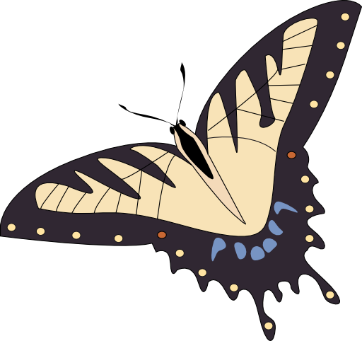 Butterfly Papillon