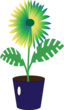 Flower Icon