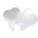 download Tooth Cut In Half clipart image with 225 hue color