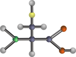 Cysteine Amino Acid