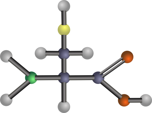 Cysteine Amino Acid
