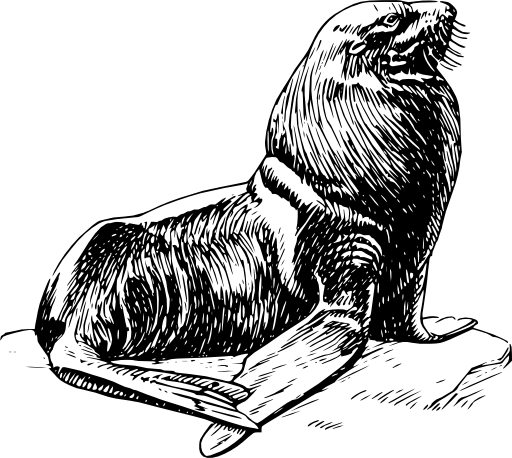 Seal