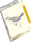 Sketchpad With Drawing Of A Bird