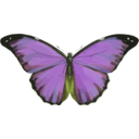 download Morpho Menelaus clipart image with 45 hue color