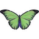 download Morpho Menelaus clipart image with 225 hue color