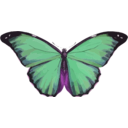 download Morpho Menelaus clipart image with 270 hue color
