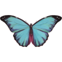 download Morpho Menelaus clipart image with 315 hue color