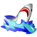 Shark