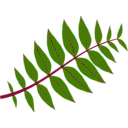 download Pinnate Leaf clipart image with 315 hue color