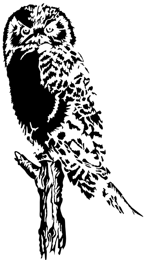 Owl Stylized