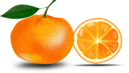 Slice Of An Orange