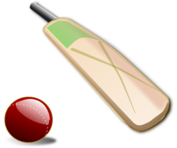 Cricket 02