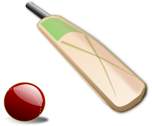 Cricket 02