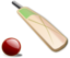 Cricket 02