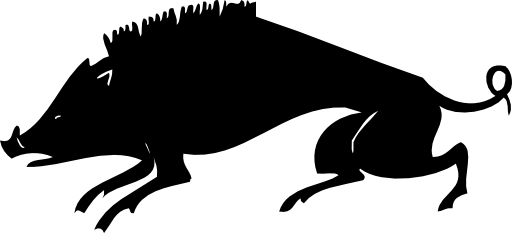 Boar