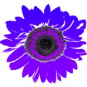 download Sunflower clipart image with 225 hue color