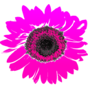 download Sunflower clipart image with 270 hue color