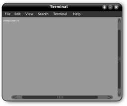 Linux Terminal Window