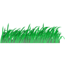 download Grass Texture clipart image with 45 hue color