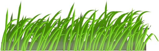 Grass Texture