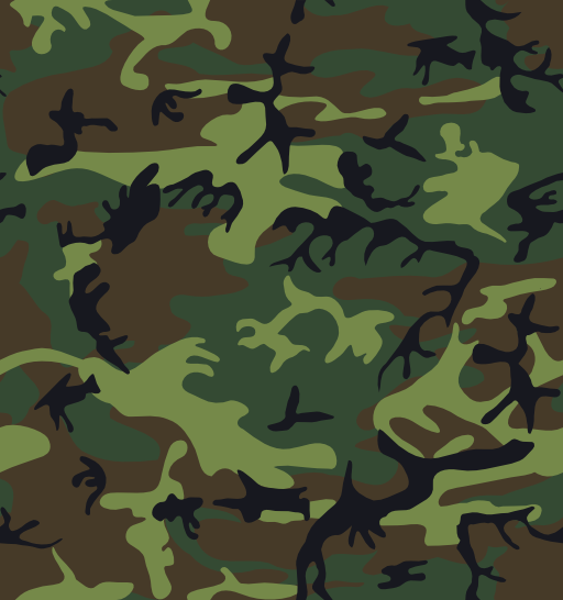 Camouflage Army Print