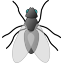 download Fly 01 clipart image with 180 hue color