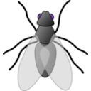 download Fly 01 clipart image with 270 hue color