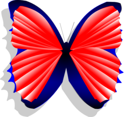 Blue And Pink Butterfly